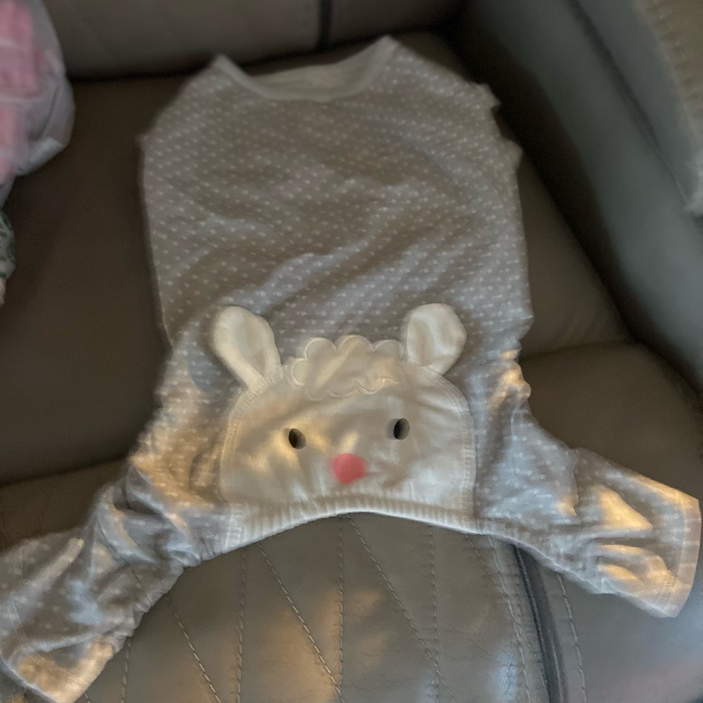 Medium play wear rabbit outfit